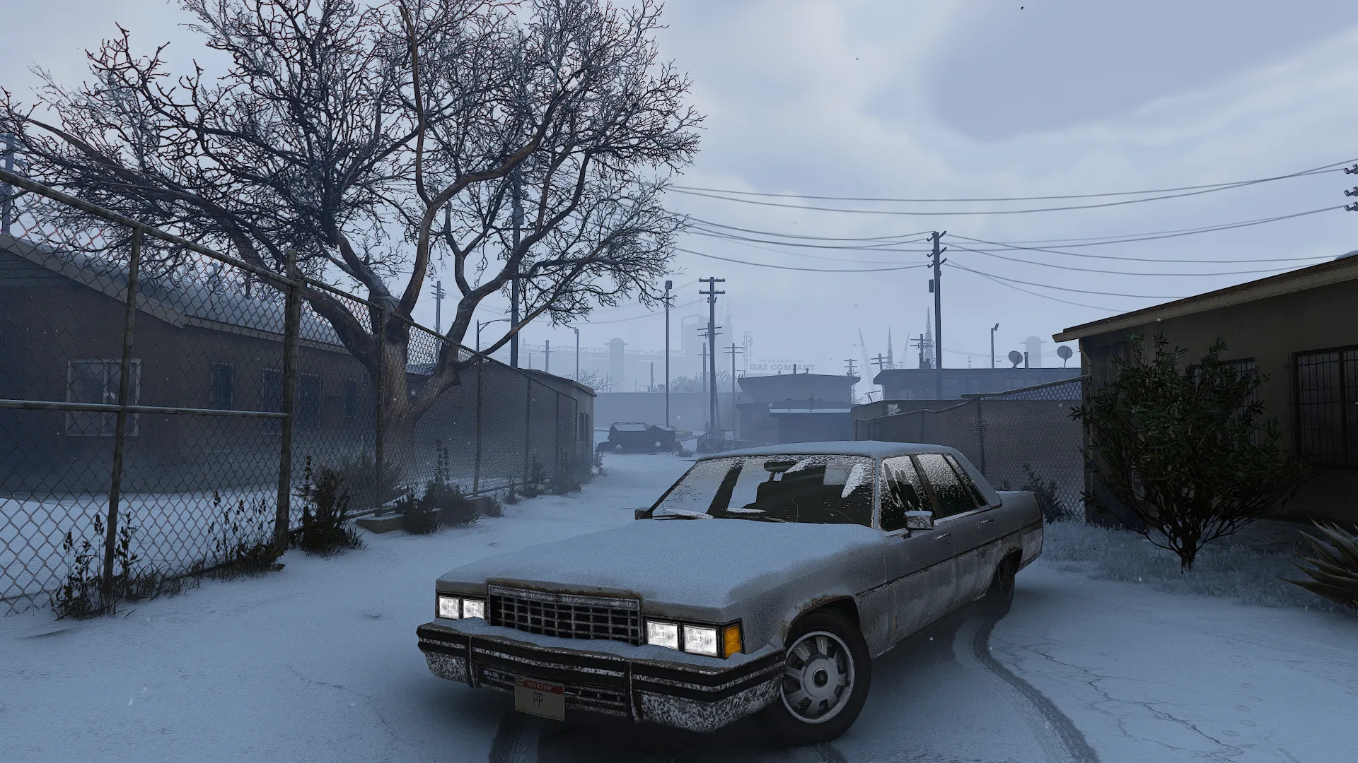 Albany Emperor (Snow)