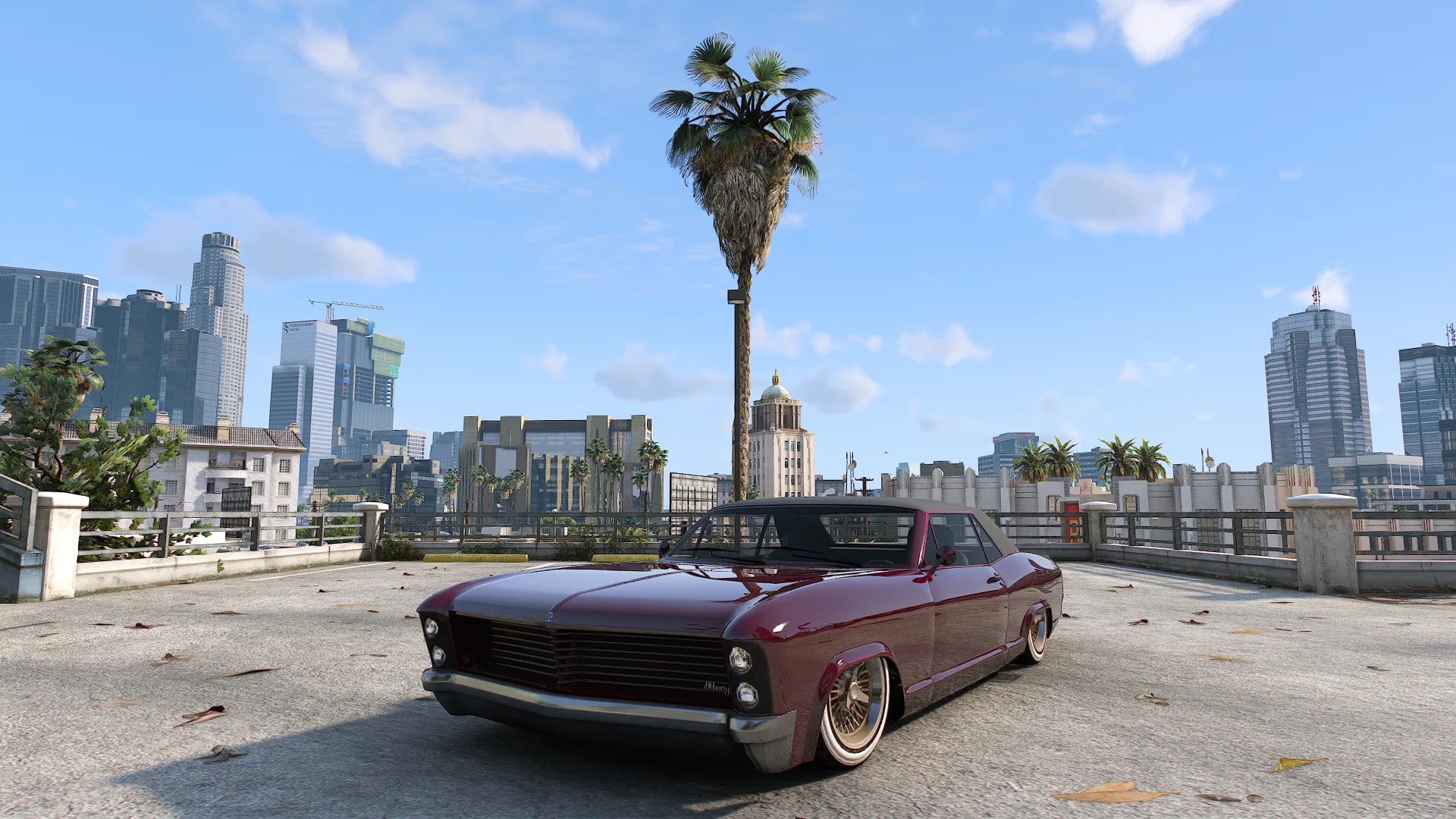 Albany Buccaneer Custom