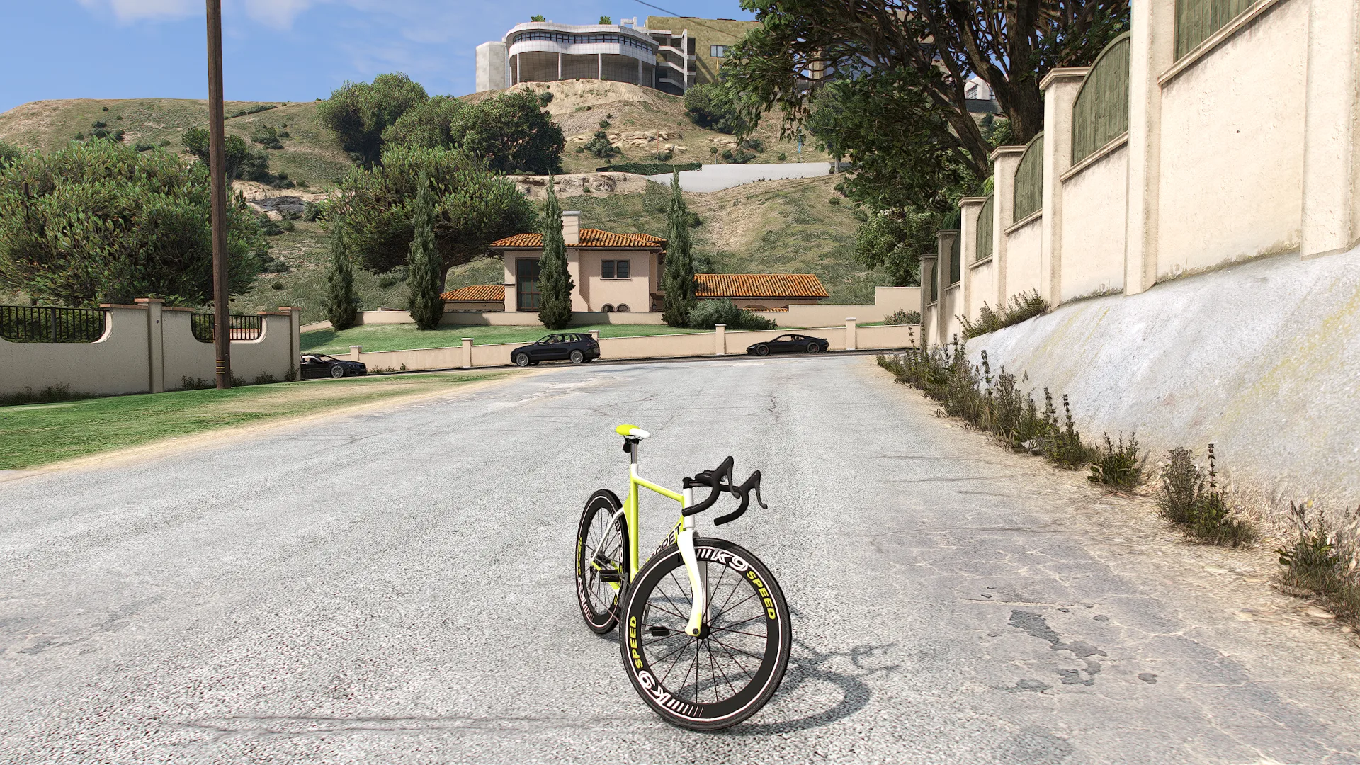 Whippet Race Bike